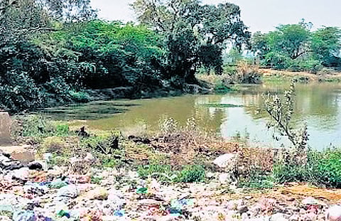 NGT pulls up MCD over failure to clean Aya Nagar pond, seeks affidavit from commissioner