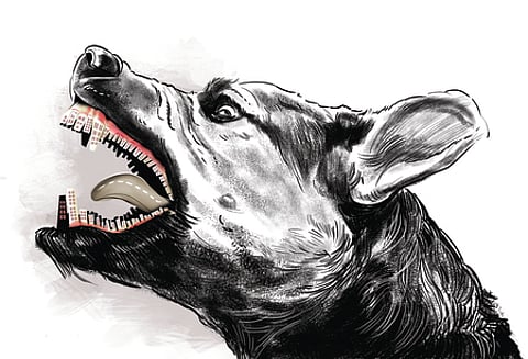 Dr Karuna Madap, a city paediatrician said that if the bite is from a pet dog, the vaccination card must be checked and shown to doctors.