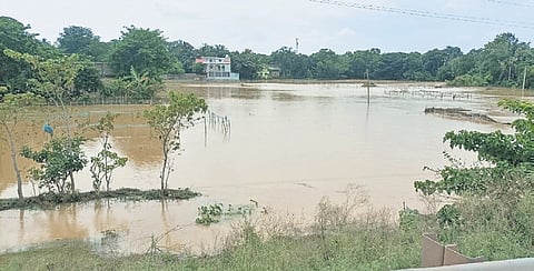 Flooding in Basta block of Balasore district.