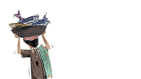 Image used for representation