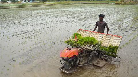 At present, about 1,600 bags (each weighing 66 kg) of old stock and 200 bags of new stock of Karuppu Kavuni paddy are kept for sale at the market, the official said.