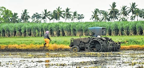 The survey aligns with the Chief Minister’s vision to integrate data with the e-CHC platform, enabling farmers to book machinery through a user-friendly, Uber-like system.