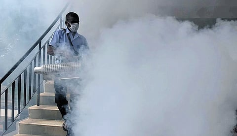 As per the data, there were 2,313 dengue cases and zero deaths in 2022.