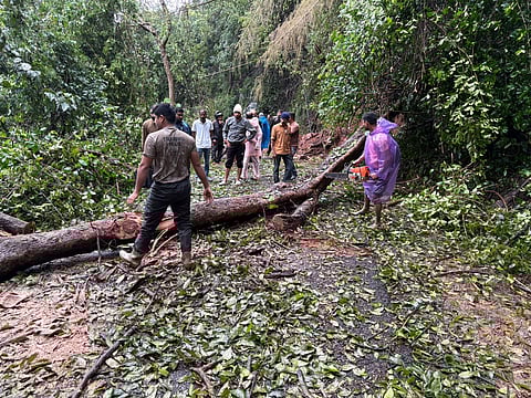 Flooded farmlands, damaged houses, gushing rivers, and power outages, Kodagu has been battling incessant rainfall for the past three days.