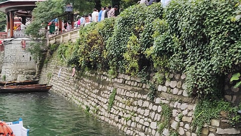 Centuries-old walls, vital for the lake's stability and aesthetic appeal, are progressively being hollowed out by a deceptive network of rat burrows.