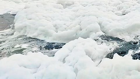 CPCB reported in some cases, dissolved oxygen is below detectable limits.
