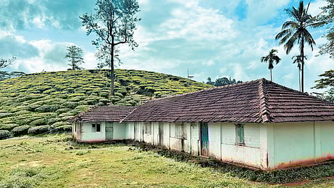 An empty layam at Attamala in Wayanad