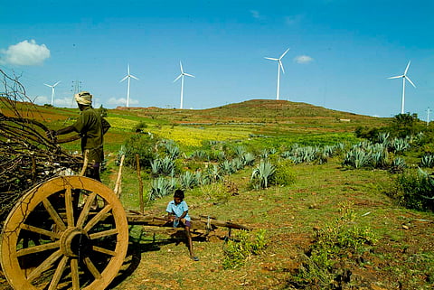 Representative picture