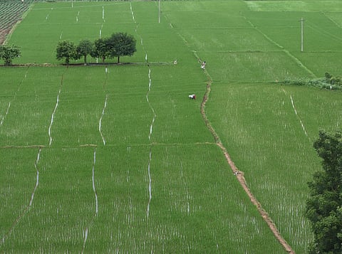 Image used for representational purpose only.