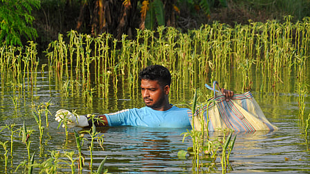 The floods last month caused extensive losses across several districts.
