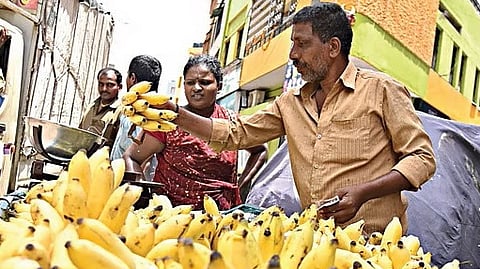 In Kolar, the yelakki banana is being sold in the retail market at Rs 120 per kg, while wholesale dealers are purchasing it from farmers at Rs 80-90 per kg depending on size.