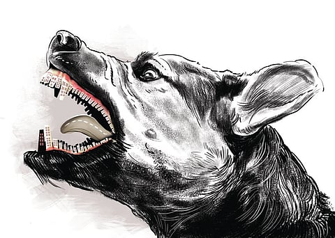 Stray dog bites had killed four goats of another person, Thangavel of Chinnaputhur near Kariampalayam, two weeks ago.