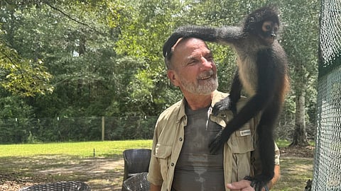 Louie the spider monkey climbs on John Richard, a volunteer at the Gulf Coast Primate Sanctuary in Perkinston, Mississippi on Friday, July 25, 2025.
