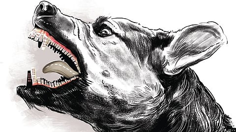 Following the attack, police arrested Jothi and booked her under sections 291 and 125 of the BNS for negligent conduct with respect to animals and endangering human life