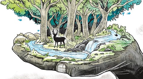 Image used for representative purpose