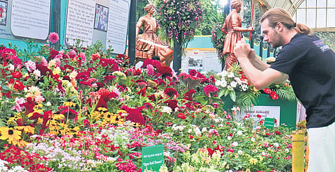 A foreign visitor marvels at a carpet of flowers at the 218th Independence Day Flower Show, after it opened at Lalbagh Botanical Gardens in Bengaluru on Thursday