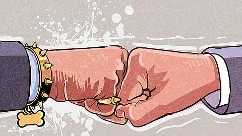 Photo for representation