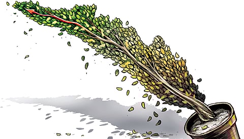 Express illustrations