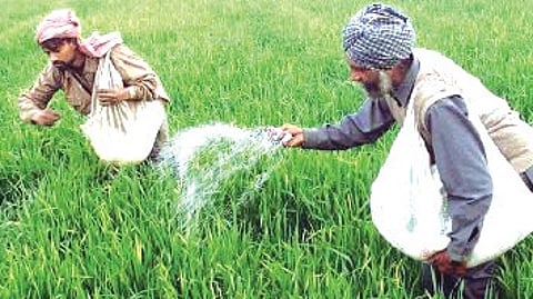 Dilli Rao noted that India continues to rely heavily on imported raw materials such as phosphorus and potash due to limited domestic availability.