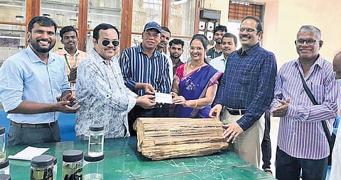 The fossil wood specimen donated to Botany Department Museum at AU
