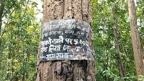 The Mukhiya said they traditionally protect the forests but now impose a Rs 5,000 fine on anyone caught cutting trees without permission.