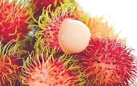 Image used for representation purposes only.