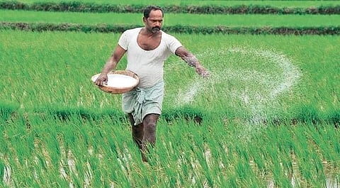 Although the government is supplying urea and DAP, the panic buying has triggered tensions in villages and at PACS outlets.