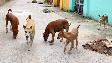 Image used for representational purposes only.