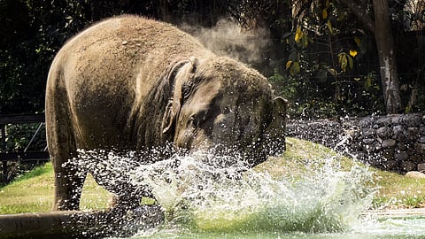 Image used for representational purposes only.