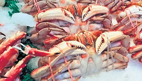 Image used for representative purposes only.