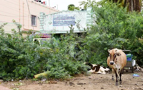 An anganwadi centre at Khajamalai in Tiruchy.