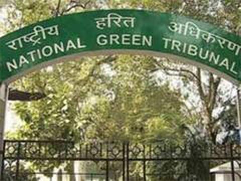 NGT seeks action on coal-based sponge iron units