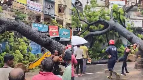 A video grab of civic agency workers are removing a tree that fell on a car and a bike in Kalkaji.