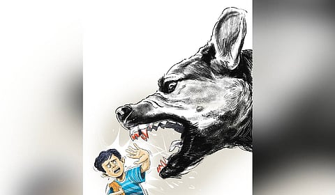 The dog attacked four people at the hospital and another person who was walking along a nearby road.