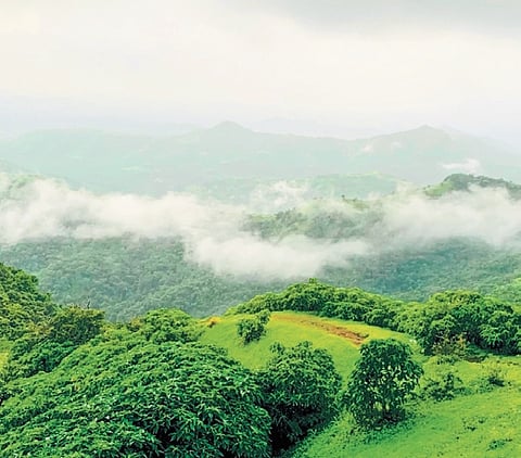 The committee has suggested the introduction of a pass to popular tourist destinations in 10 districts of Karnataka, mainly Kodagu, Hassan, Sakleshpur, Shivamogga, Mangaluru, Uttara Kannada and Belagavi.