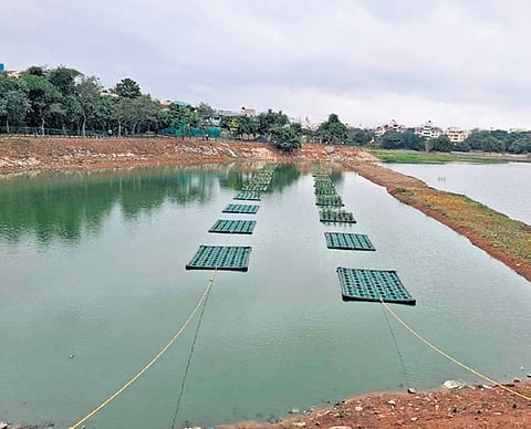 Aerators and floating filters installed at Vibhutipura Lake to improve water quality and reduce pollutants