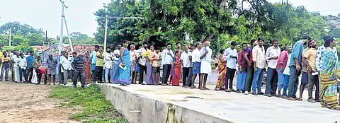 Due to insufficient stocks, farmers waiting in long queues to collect urea has become the order of the day in villages across the state