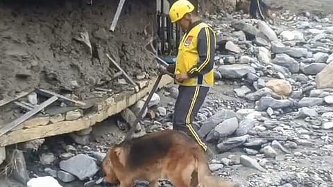 NDRF personnel and sniffer dogs have been deployed to find buried persons.