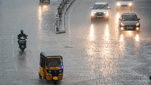 The sanitation worker, identified as Varalakshmi, had waded through stagnant water at Kannagi Nagar here during her early morning cleaning work, hardly noticing a severed electric wire.