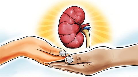 Image used for representational purposes only.