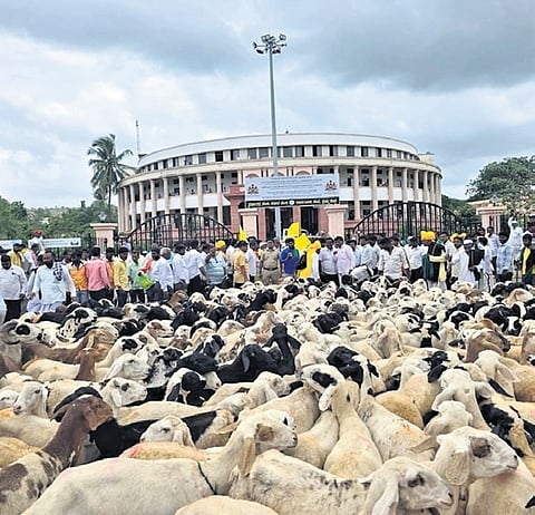 Shepherds protested with their sheep in different parts of Karnataka on Tuesday