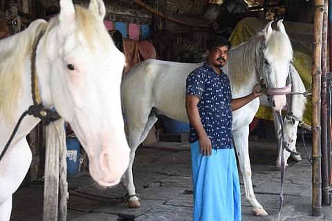 S Kumar with his horses
