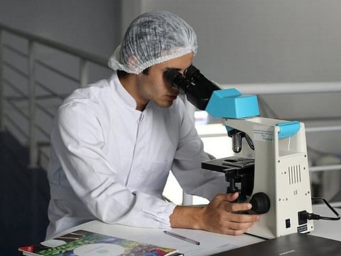 Categorising the scientists into 22 main science fields and 174 sub-fields, it identifies the top 2 per cent based on their impact.