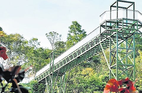 The glass bridge at Akkulam Tourist Village in Thiruvananthapuram