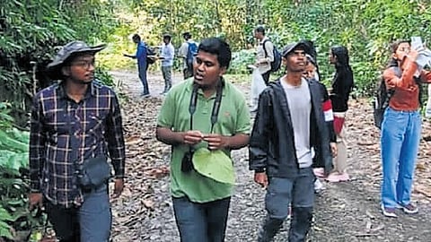 Revival of birdsongs