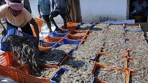 Representative Images