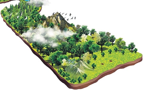 The rules approved on Wednesday cover two major aspects: Regulating diversion of land already allocated under pattas and Granting conditional permission to use such land for other livelihood-related purposes.