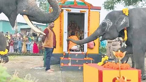 Two elephants – Bommi and Krishna – rang the bell and conducted pooja, and also knelt before the Lord Ganesha temple at the entrance of the camp