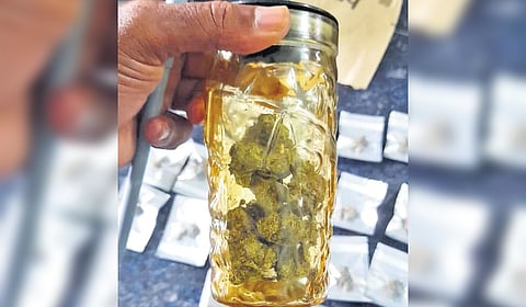 The OG weed seized from the peddlers in Mahindra University on Monday