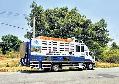 The elephant rescue truck in Angul.